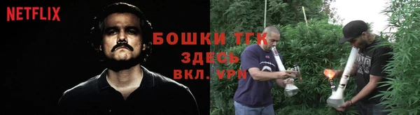 гашик Белокуриха