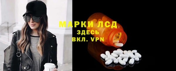 гашик Белокуриха