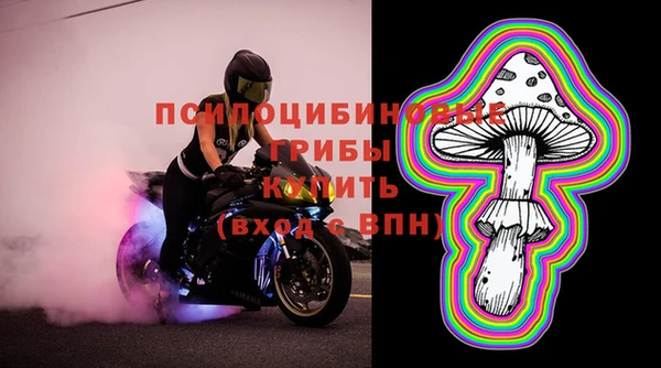 гашик Беломорск