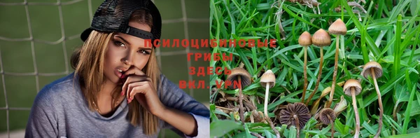 гашик Белокуриха