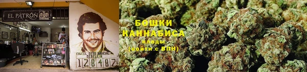 гашик Белокуриха