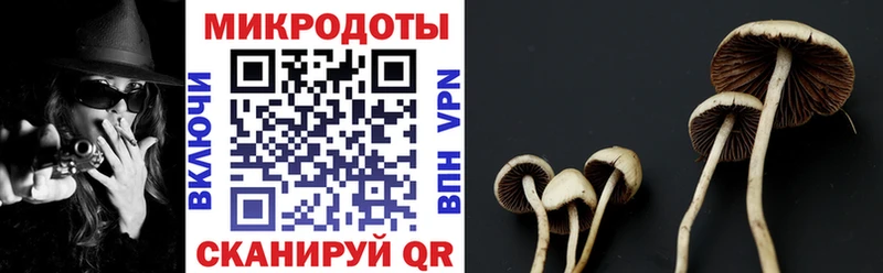 Псилоцибиновые грибы мухоморы  купить   Верхний Тагил 